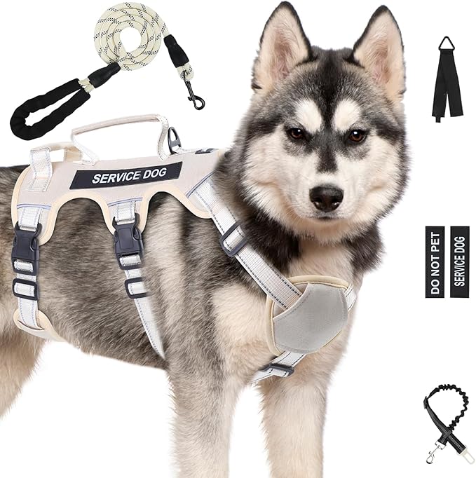 Escape Proof Dog Harness for Large Medium Sized Dogs Six Point Adjustable, Service Dog Vest Harness and Leash Set, No Pull Dogs Harnesses with Handle, XL Dog Harnesses for Walking(Beige, L)