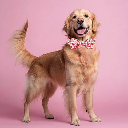 Valentines Dog Collar with Bow - Cute Red Pink Hearts Valentine Bowtie Dog Collars, Adjustable Metal Buckle Male Female Dogs Collar for Small Medium Large Dogs XL