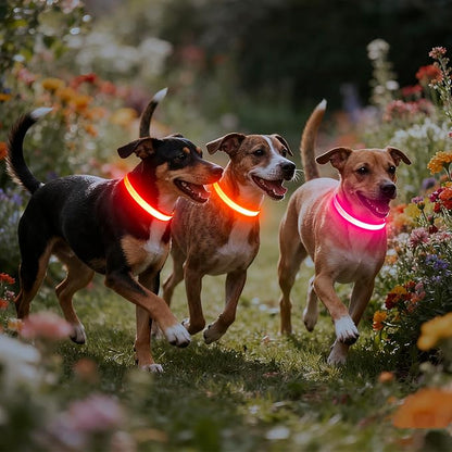 Vizpet LED Dog Collar, Light Up Dog Collar Adjustable USB Rechargeable Super Bright Safety Light Glowing Collars for Dogs(Large,Orange)