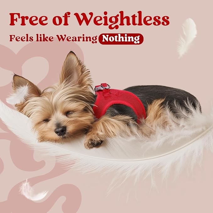 rabbitgoo Small Dog Harness, Step-in Soft Mesh Puppy Vest with Safety Buckle, Breathable Reflective Pet Harness for Small Sized Dogs, Red S