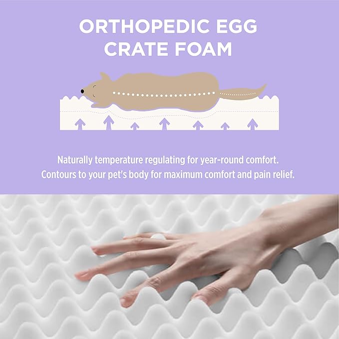 LE SURE Outdoor Waterproof Dog Bed Medium Size Dogs, Orthopedic Egg Crate Foam Pet Bed with Oxford Fabric Surface and Removable Washable Cover, Pet Mat 30''x20'', Green