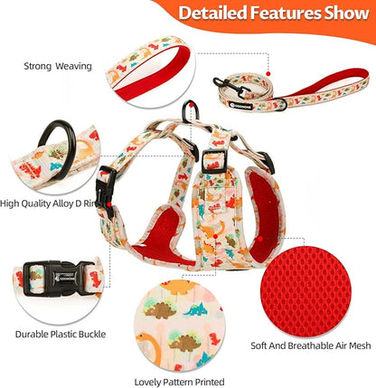 Dog Harness and Leash Set, Adjustable Dog Harness, Dog Leash, No Pull No Choke Puppy Harnesses for Walking Training for Small Medium Pet