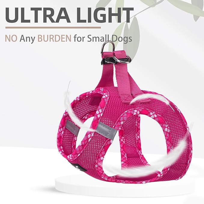 PUPTECK Dog Harness and Leash Set for Small Medium Dogs No Pull Step-in Soft Mesh Puppy Cat Vest Harnesses Reflective at Night, Fuchsia, S