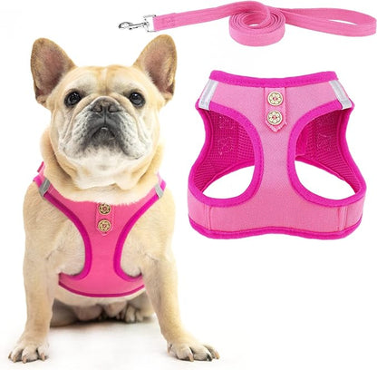 PUPTECK Dog Harness and Leash Set for Small Medium Dogs No Pull Step-in Soft Mesh Puppy Cat Vest Harnesses Reflective at Night, Denim Pink XS