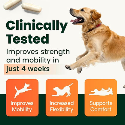 VetriScience Healthy Spine & Disc Easy-Open Capsules, Back and Spinal Support Chondroitin and Taurine Supplement for Dogs, Perfect for Dachshunds, Corgis, Frenchies, Basset Hounds & More, 180 Count