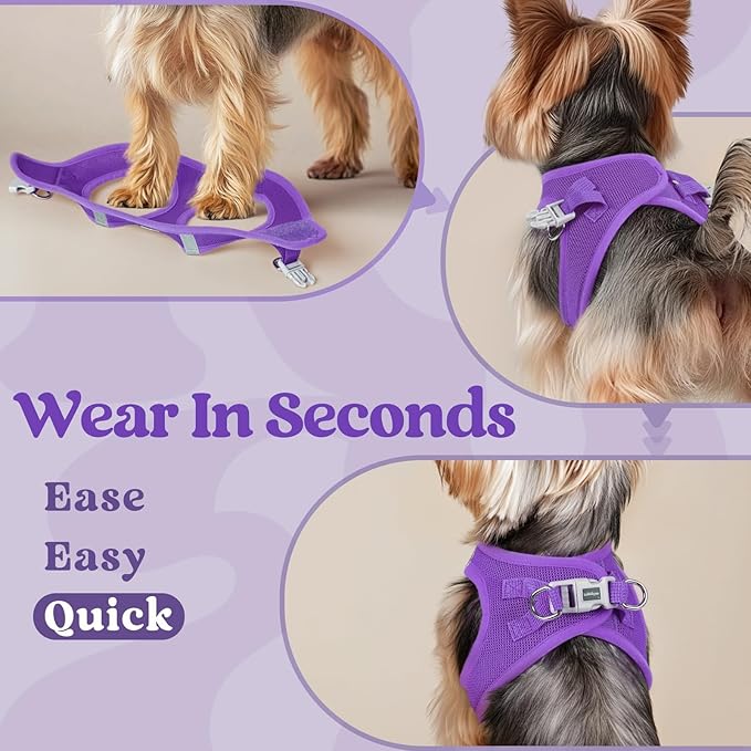 rabbitgoo Small Dog Harness, Step-in Soft Mesh Puppy Vest with Safety Buckle, Breathable Reflective Pet Harness for Small Medium Dogs, Purple L