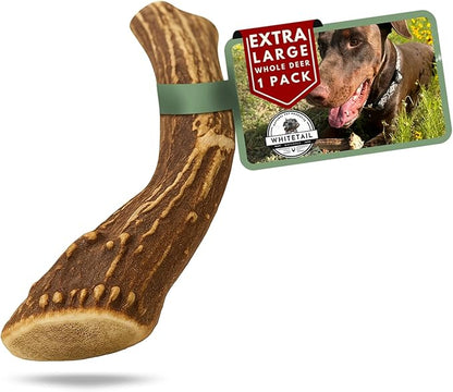 WhiteTail Naturals - Deer Antlers for Large Dogs - (1 Pack - Extra Large) - All Natural Dog Antler- Naturally Shed, Long Lasting Chew Bone, Crafted in USA for Aggressive Chewers