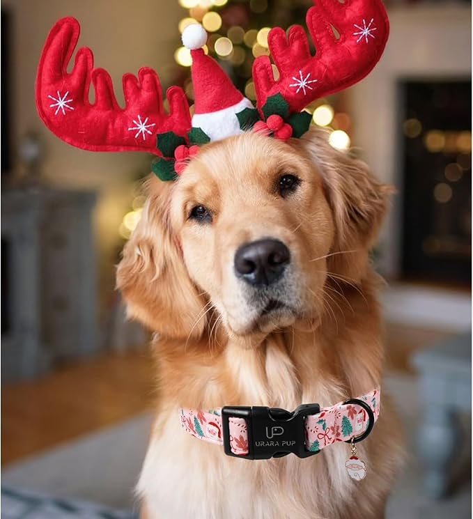 Xmas Dog Collars - Pink Christmas Tree & Santa Dog Collar with Gingerbread- Comfortable, Stylish Pet Collars with Quick Release Buckle for Christmas S
