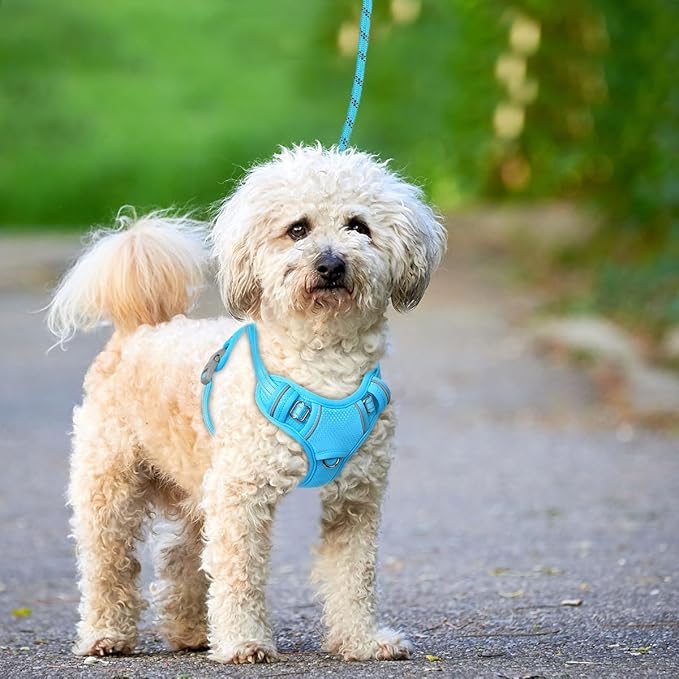 BARKBAY No Pull Dog Harness Large Reflective Dog Harness with Front Clip and Easy Control Handle for Walking Training Running with ID tag Pocket(Blue,XS)