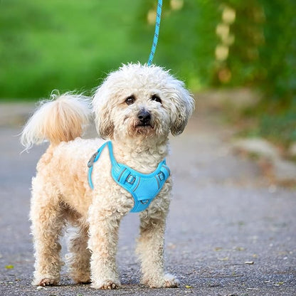 BARKBAY No Pull Dog Harness Large Reflective Dog Harness with Front Clip and Easy Control Handle for Walking Training Running with ID tag Pocket(Blue,S)