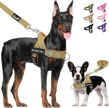 Lukovee No Pull Dog Harness & Leash Set - Heavy Duty Dog Vest Harness with Soft Padded for Medium Large Dogs, Adjustable Reflective Tactical Pet Harness for Easy Walk and Training (L, Yellow)