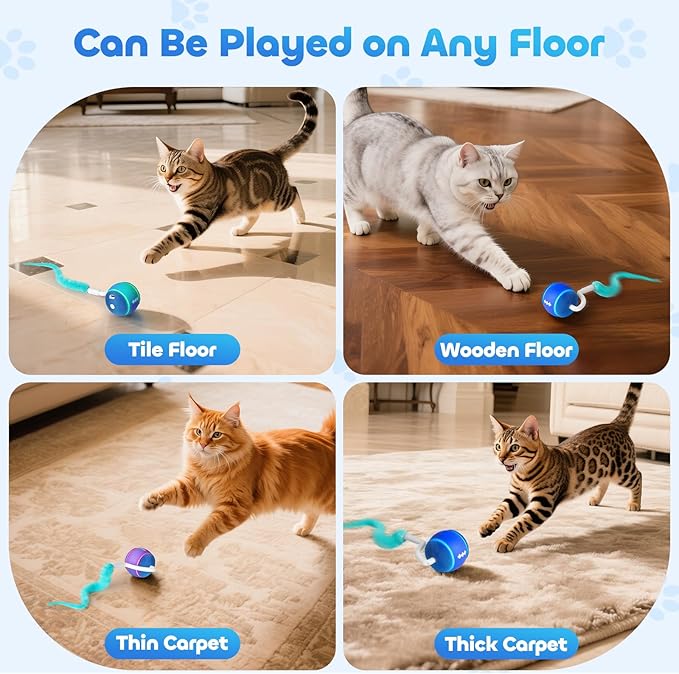 ddxcoo Automatic Interactive Cat Toy Ball for Indoor Cats, Carpet-Safe with Tangle-Free Tail, 3-Mode Touch Activated, Gen 3 High-Capacity 800mAh Battery (6-8H Play), Includes 2 Tails