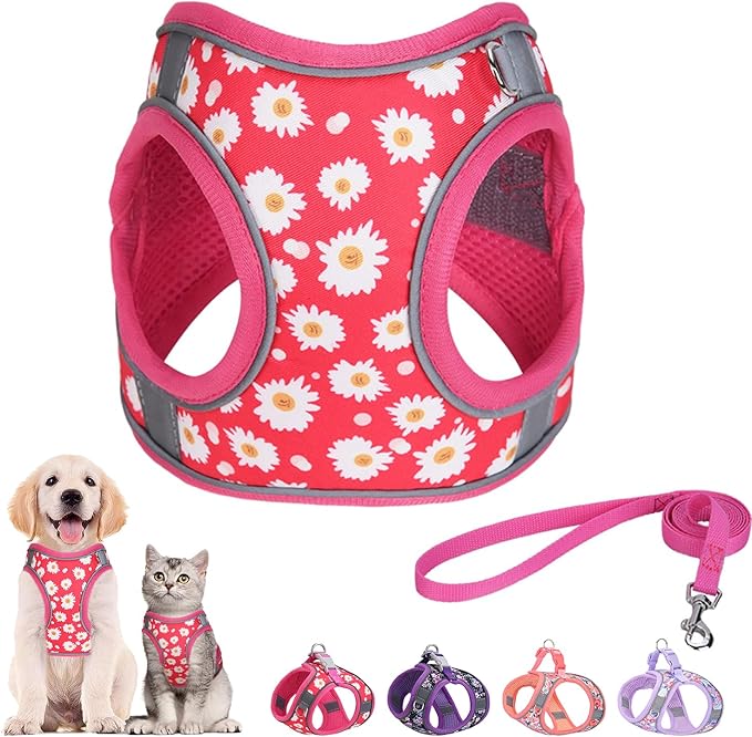 Step in Dog Harness and Leash Set, Flower Adjustable Easy Walk Puppy Harnesses, Soft Mesh Pet Vest Harness Small Size Dog Adjustable No Pull Dog Harness for Small Dogs and Cats(Rose red, XS)