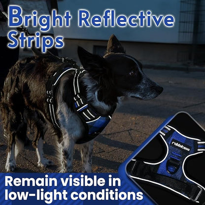 rabbitgoo Dog Harness No-Pull, Comfortable Padded Plaid Harness with Handle Easy Control, Adjustable Reflective Pet Vest with 2 Leash Clips for Small Dog, Blue Plaid, S