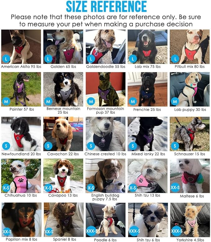 Lukovee Dog Seat Belt - Adjustable Dog Car Harness for Large, Medium & Small Dogs, Soft Padded & Breathable Mesh Dog Seatbelt with Car Vehicle Connector Strap (Black, XXX-Small)