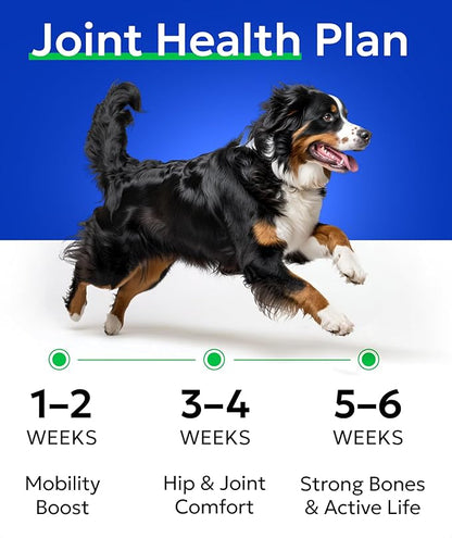 BARK&SPARK Glucosamine Chondroitin Dog Hip & Joint Supplement - Joint Pain Relief - Hip & Joint Chews - Joint Support Large Small Breed - Senior Doggie Vitamin Pill Joint Health (120 Treats - Bacon)