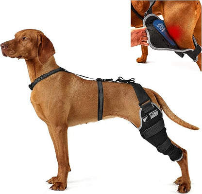 ACL Brace for Dogs – Reflective Adjustable Knee Brace for Dogs Back Leg with Hot/Cold Compress Gel Pack for Joint Pain Relief, Swelling Reduction and Rehabilitation, Left Leg, Size XL