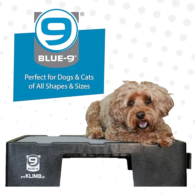 Blue-9 KLIMB Jr. Professionally Designed Dog Training Platform and DIY Guide for Behavior Basics, Made in The USA, Black