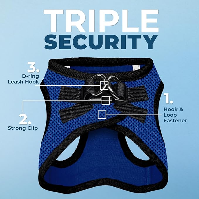 Best Pet Supplies Voyager Step-in Air Harness - All Weather Mesh, Reflective, No Pull Harness for Dogs, Cats - Secure with Hook & Loop Fastener, Buckle, Double D-Rings - Royal Blue/Black Trim, XXS