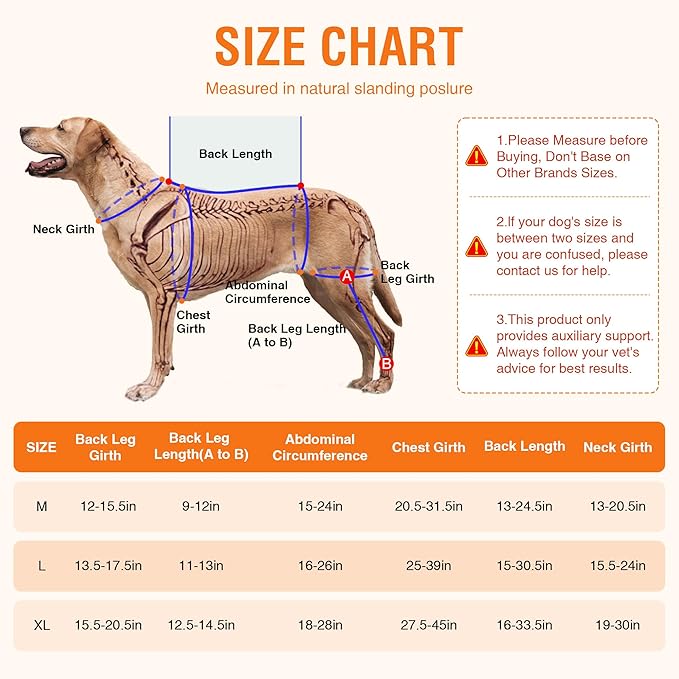 Dog ACL Brace Hind Leg – Breathable Adjustable Rear Leg Brace with Hot/Cold Compress Gel Pack for Arthritis, Swelling & Joint Pain Relief, Left Leg, Size M
