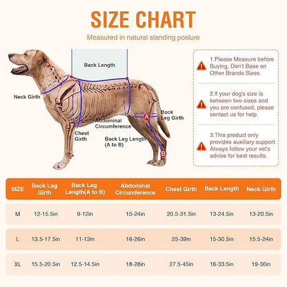 Dog ACL Brace Hind Leg – Breathable Adjustable Rear Leg Brace with Hot/Cold Compress Gel Pack for Arthritis, Swelling & Joint Pain Relief, Left Leg, Size M