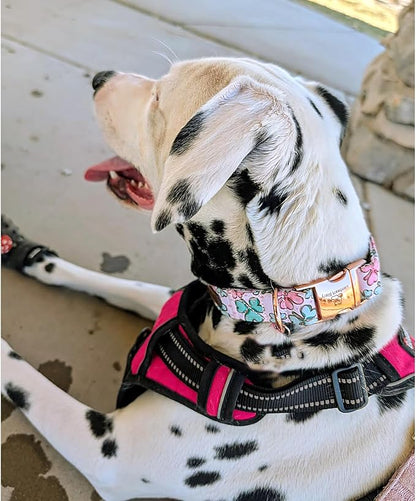 Lionheart glory St. Patrick Dog Collar, Clover Pink Collar for Medium Dogs Spring Female Dog Collars Adjustable Heavy-Duty Dog Collars Pet Gift
