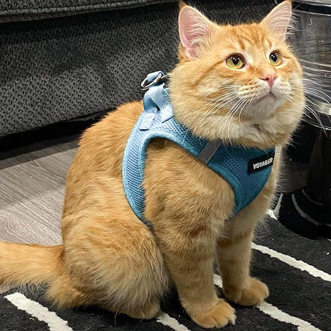 Best Pet Supplies Voyager Step-in Air Harness - All Weather Mesh, Reflective, No Pull Harness for Dogs, Cats - Secure with Hook & Loop Fastener, Buckle, Double D-Rings - Baby Blue, XS