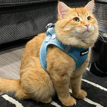 Best Pet Supplies Voyager Step-in Air Harness - All Weather Mesh, Reflective, No Pull Harness for Dogs, Cats - Secure with Hook & Loop Fastener, Buckle, Double D-Rings - Baby Blue, XS