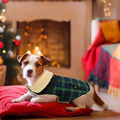 Preferhouse Winter Coat for Small and Medium Dogs, Puppy Plaid Jacket, Cotton Coat for Cold Weather, Windproof Warm Dog Garments, Pet Thickened Outfits Indoor Outdoor, Green S