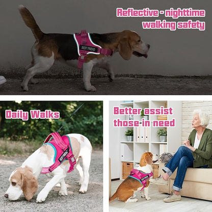 AUROTH Dog Harness and Leash Set, Soft Padded No Pull Dog Harness with 5.25FT Dog Leash, No Choke, Easy On Pet Vest, Adjustable Reflective Dog Vest Small Sized Dog, Easy Walking and Training