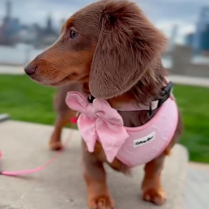 Small Dog Harness Set – Cute No Pull, All Weather, Breathable Harness and Leash Set with Collar, Bandana, Sailor Bow & Poop Bag Holder – Adjustable, Soft & Stylish - Pink Hearts on Jacquard Fabric