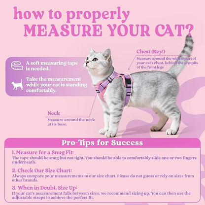 rabbitgoo Cat Harness and Leash for Walking, Escape Proof Soft Adjustable Vest Harnesses for Cats, Easy Control Breathable Reflective Strips Jacket, Pink & Purple, XXS