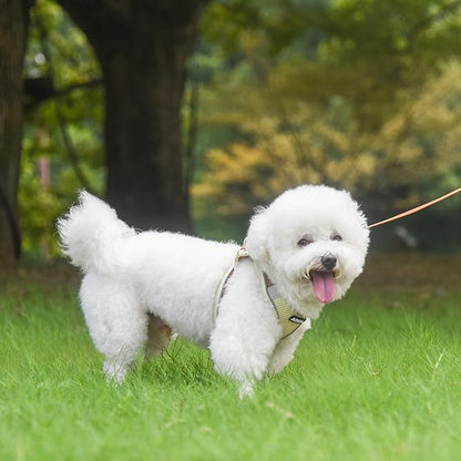 AIITLE Step in Dog Harness and Leash Set - No Pull Escape Proof Vest Harnesses with Soft Mesh and Reflective Bands, Adjustable Pet Outdoor Harnesses for Small and Medium Dogs Beige M