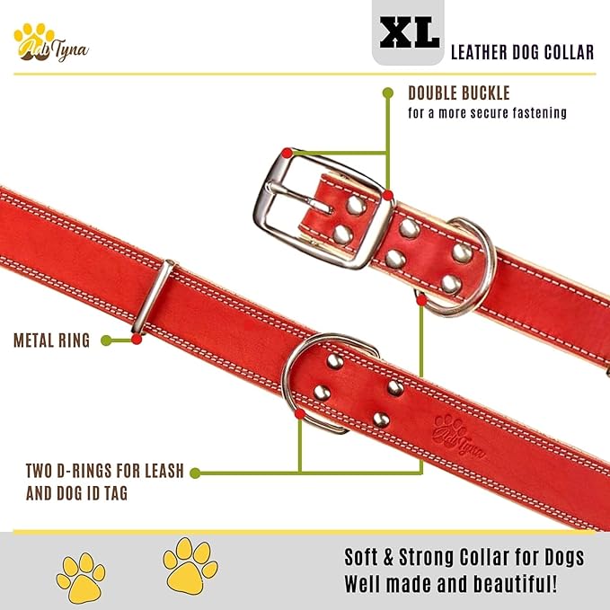 ADITYNA Heavy-Duty Leather Dog Collar for Extra-Large Dogs - Soft Padded for Comfort - XL Dog Collar for Walking, Training, and Hiking