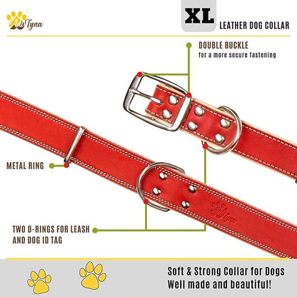 ADITYNA Heavy-Duty Leather Dog Collar for Extra-Large Dogs - Soft Padded for Comfort - XL Dog Collar for Walking, Training, and Hiking
