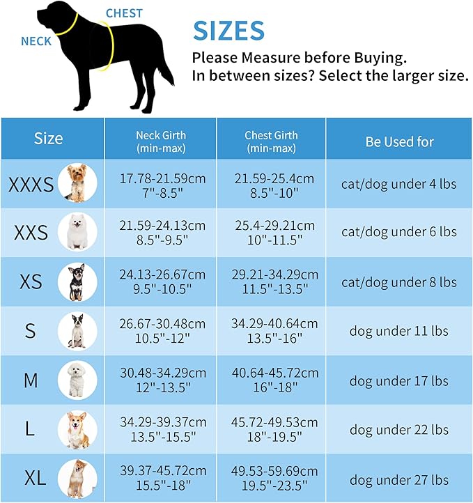 AIITLE Small Harness for Puppy with A Leash - Dog Vest Harness with Super Breathable Mesh, Reflective No-Pull Pet Harness for Outdoor Walking, Running for Small Dogs, Cats Purple XXS