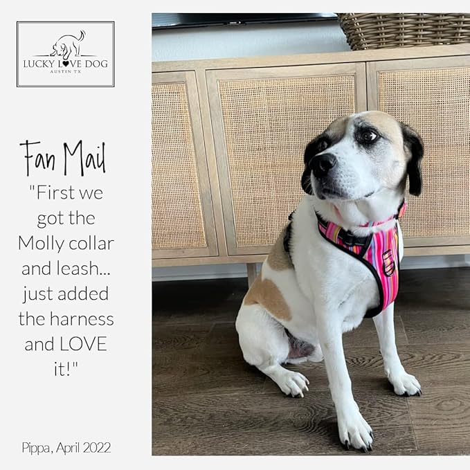 Lucky Love Dog No Pull Dog Harness, Adjustable and Easy to Walk, Cute Patterned Harness for Small Male & Female Dogs - Molly, XS
