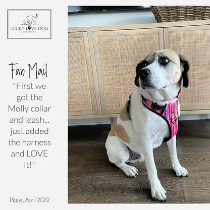 Lucky Love Dog No Pull Dog Harness, Adjustable and Easy to Walk, Cute Patterned Harness for Small Male & Female Dogs - Molly, XS