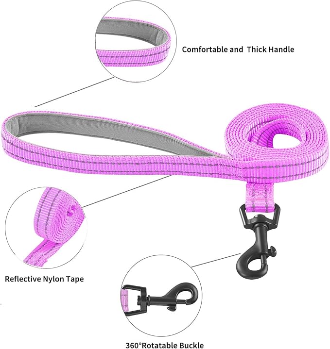 Hipubby Dog Harness and Leash Set, No Pull Soft Mesh Puppy Harness for Small Medium Dogs, Cats - Step in Reflective Breathable Lightweight Vest Harness for Walking, Training - Purple, L