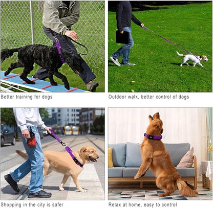 PLUTUS PET Reflective Martingale Collar with Quick Snap Buckle,No Pull Dog Choker Collar for Small Medium Large Dogs,L,Purple