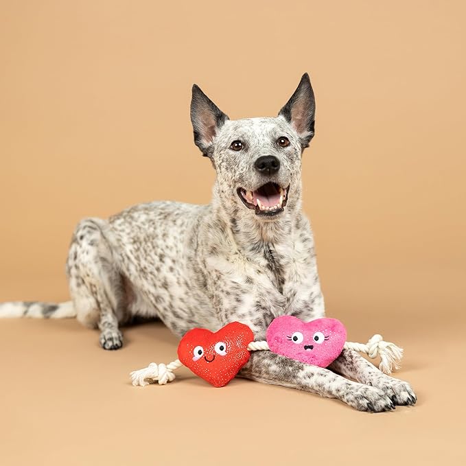 Fringe Studio Plush Dog Toy with Rope, CAN’T BE AP-Heart, Petshop Collection (314494)