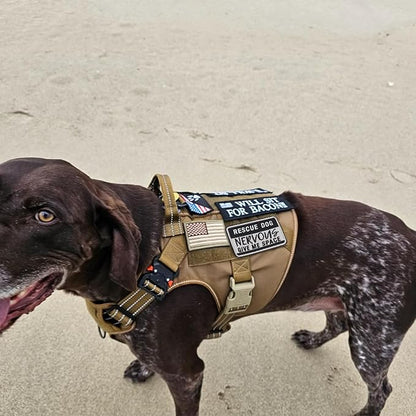 2 PCS Service Dog Patches Removable Tactical Hook Loop Embroidered in Training Patch Do Not Pet Working Dog Patch for Vest Harnesses Collars Leashes
