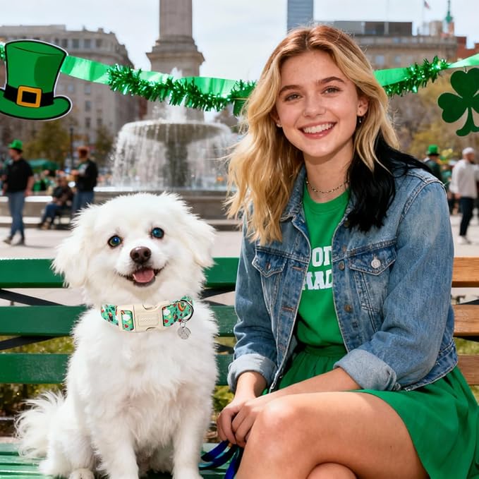 DOGWONG St. Patrick's Day Dog Collar, Lucky Clover Shamrock Green Dog Collar Soft Durable Adjustable Costume Bright Lucky Charm Puppy Collar for Small Medium Large Dog