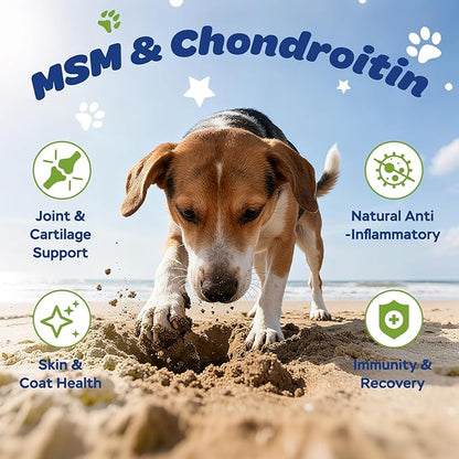 Dog Hip & Joint Supplement with Glucosamine, Chondroitin & MSM – Joint Support Chews with Vitamins C & E for Dogs 120 Soft Chews