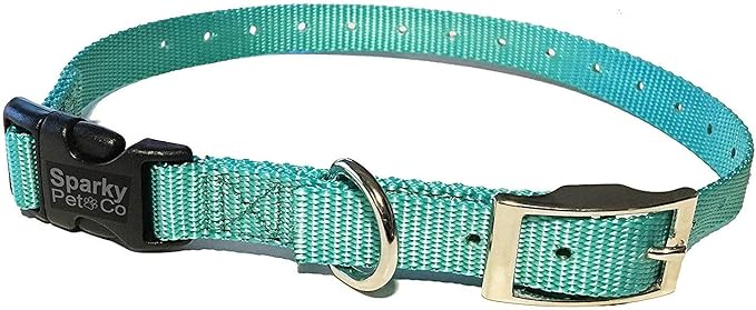 Sparky Pet Co - ECollar Replacement Strap - Easy Release Double Buckle Dog Collar - Rugged Nylon - Adjustable - D Ring - Quick Release Metal Clasp - for Invisible Fence Systems - 1" x 28" - Teal