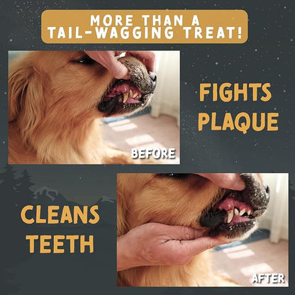 Tails & Tales Whole Elk Antler for Dogs Medium 5-7" Long-Lasting & Durable Dog Bones for Aggressive Chewers or Teething Puppies No Additives, Premium Grade A, Naturally Shed in USA