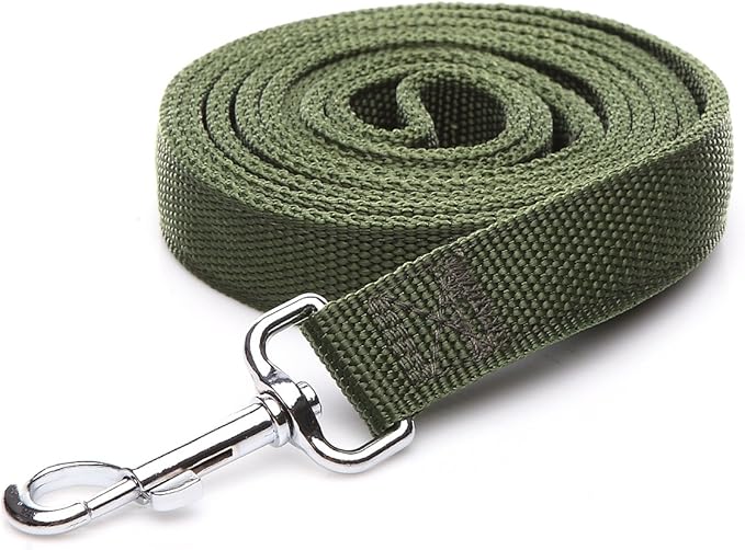 Strong Nylon Dog Leash 2-Layer, 4 FT to 7FT Long, 1 Inch Wide for Medium & Large Dogs (Green, 1" x 2 FT)
