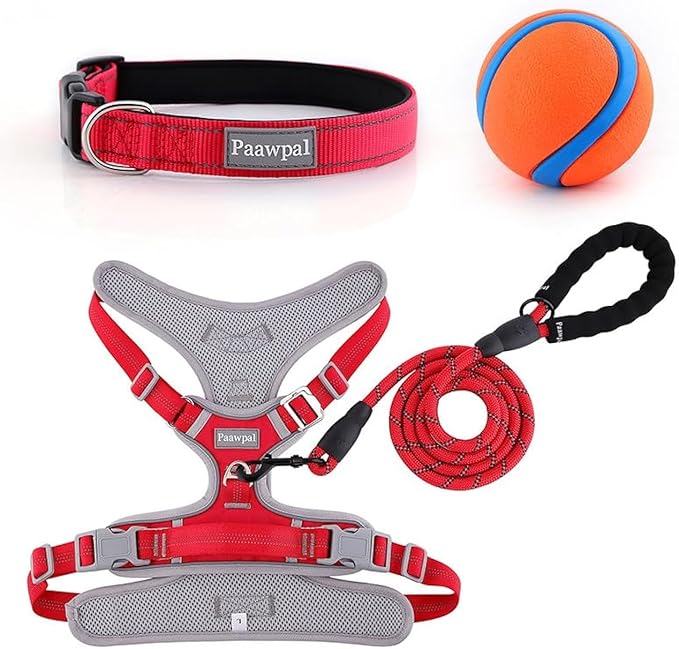 Paawpal Adjustable Dog Harness - No Pull, Reflective, Soft Padded for Small, Medium, Large Dogs - Includes Leash and Collar Red XS