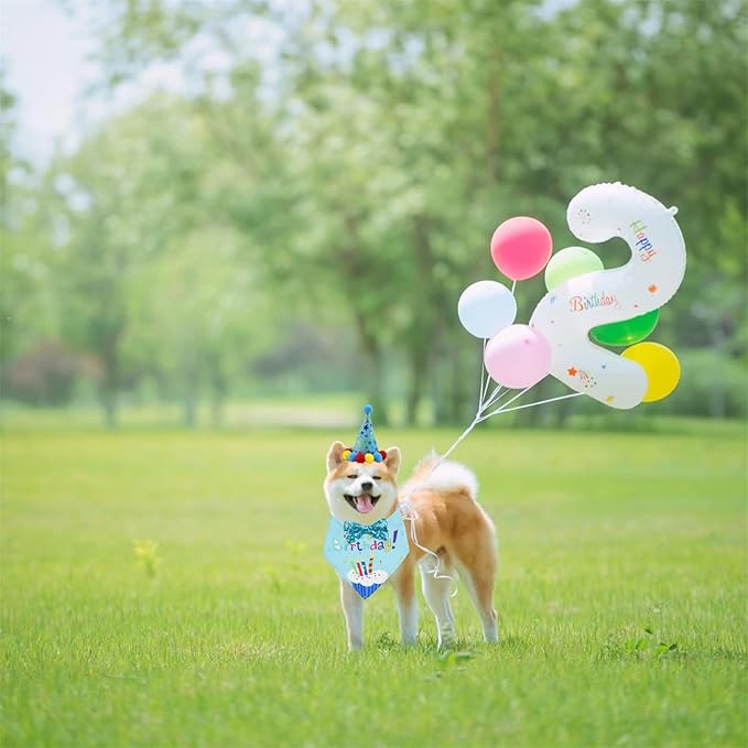 Pet Birthday Party Set with Hat and Bandana for Dogs and Cats with Star Pattern Design, Adjustable Sequin Bow tie Accessories, Blue Birthday Boy Scarf (Blue)