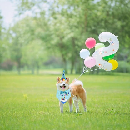 Pet Birthday Party Set with Hat and Bandana for Dogs and Cats with Star Pattern Design, Adjustable Sequin Bow tie Accessories, Blue Birthday Boy Scarf (Blue)